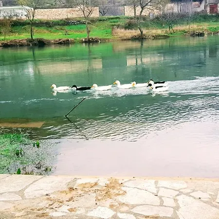 بيت للعطل Villa Buna *