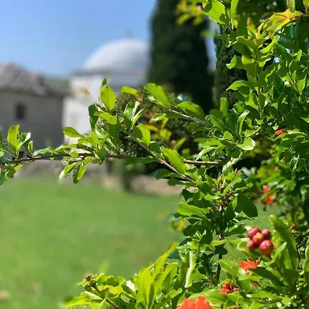 Villa Buna بيت للعطل Buna