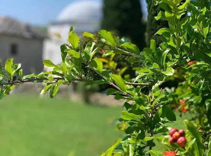 Villa Buna بيت للعطل Buna