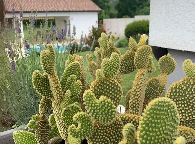 بيت للعطل Villa Buna